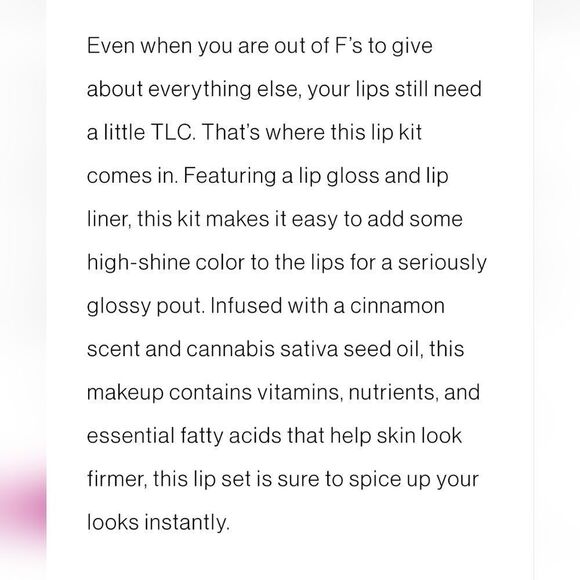 Wet-N-Wild Zero F's Given Lip Kit - Picture 11 of 11